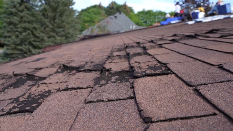 Best Storm Damage Roof Repair  in Mohnton, PA